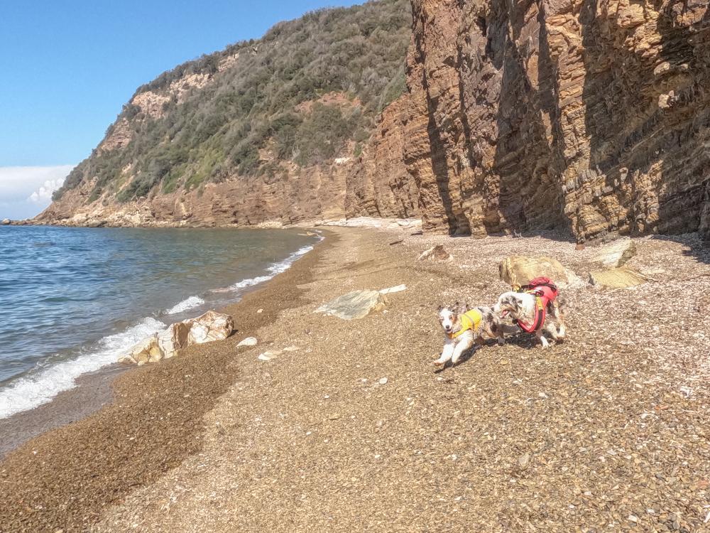 Spiagge per cani all'Isola d'Elba in barca