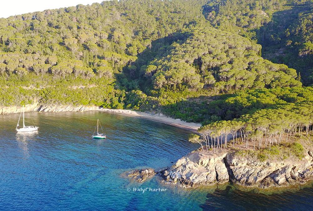 Spiagge dell'Isola d'Elba per chi naviga con cani: Istia