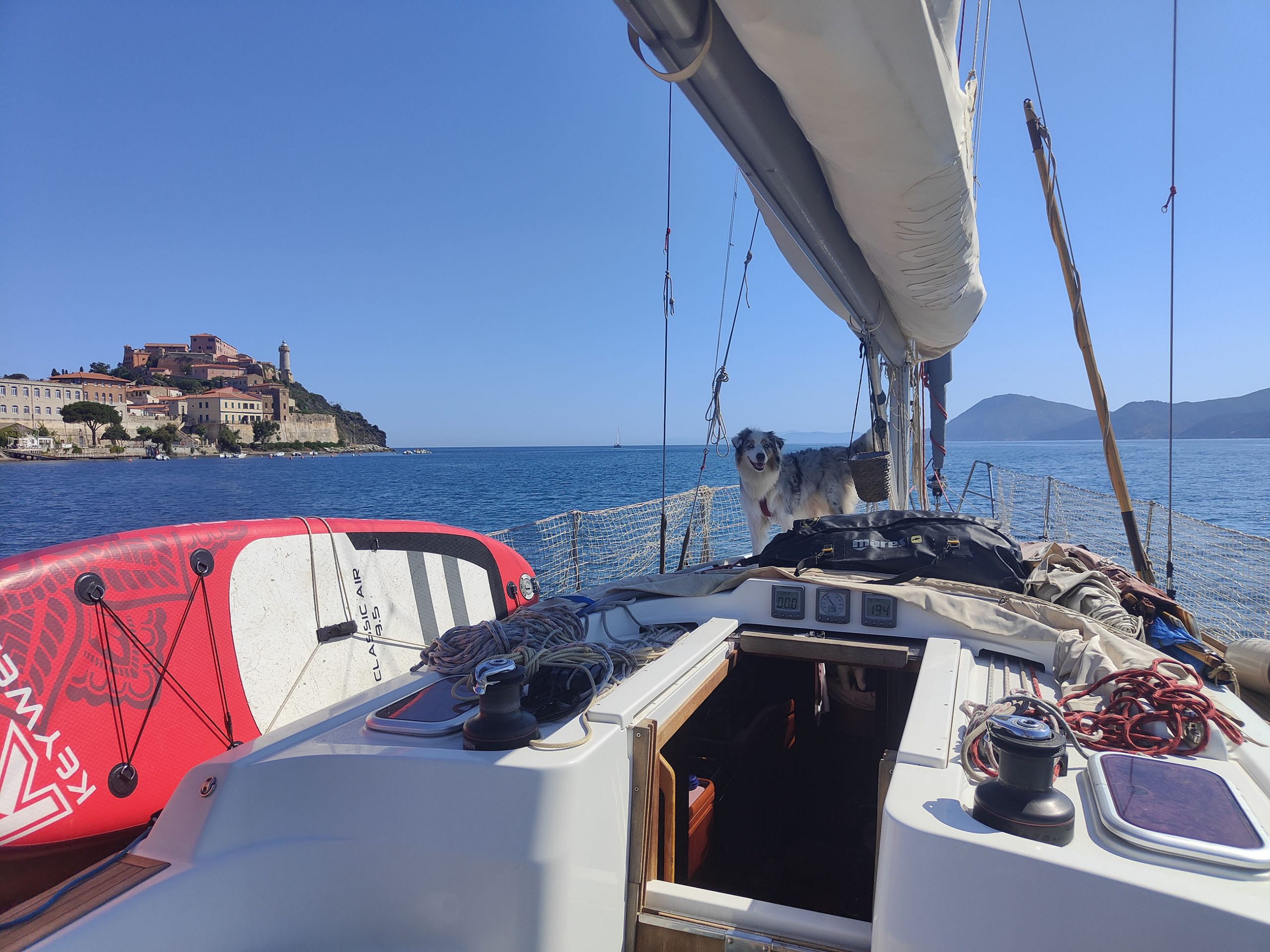 cani-in-barca-a-vela-isola-elba