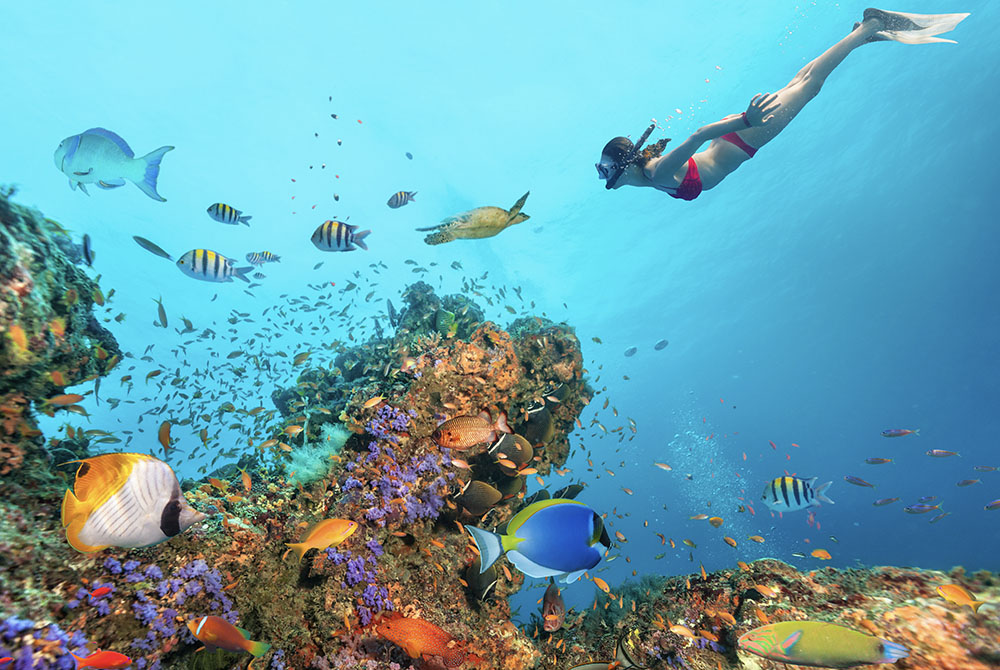 Snorkeling dalla barca a vela